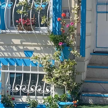 Antik Sofia فندق