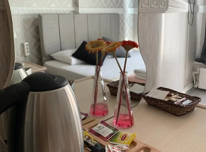 Antik Sofia Hotel Istambul