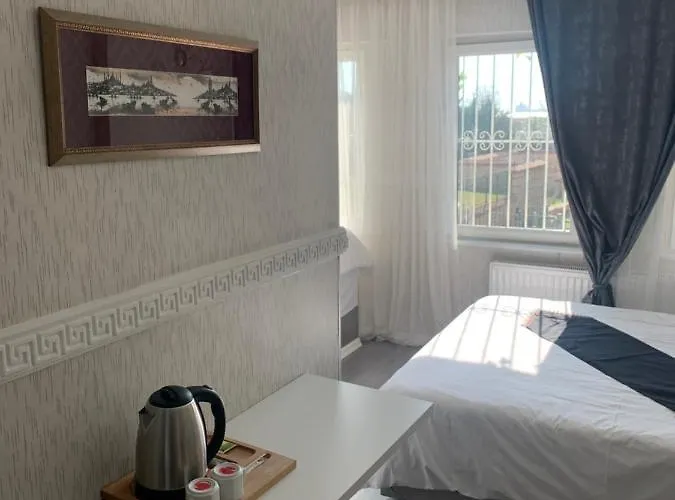 Antik Sofia Istambul